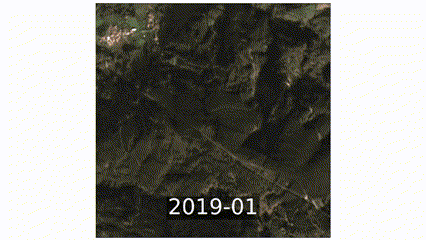 A change detection algorithm revealing alterations over time in a forested region in Portugal. The animation illustrates forest loss during three distinct periods: February 2019, June-July 2019, and June-July 2020. The algorithm identifies these changes, which are highlighted with a red square and ignores other ones, such as the change in vegetation colour. Credit: Vito Remote Sensing