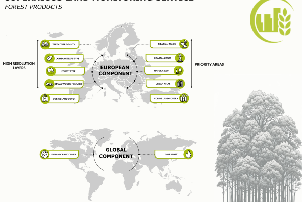 OBSERVER: Monitoring the World’s Forests with Copernicus Land OBSERVER: Monitoring the World’s Forests with Copernicus Land