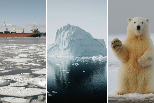 OBSERVER: An in-depth look at the Copernicus Arctic Hub OBSERVER: An in-depth look at the Copernicus Arctic Hub