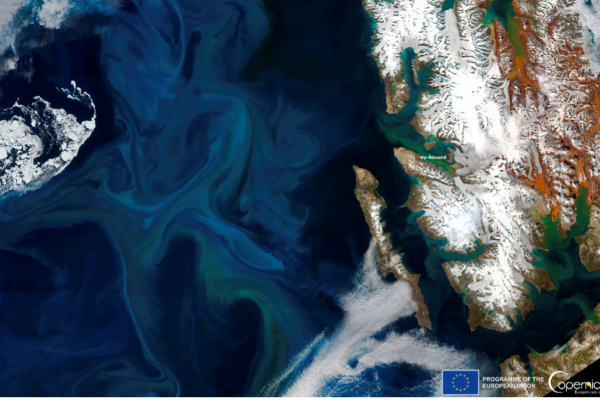 OBSERVER: Telling meaningful stories with EO data OBSERVER: Telling meaningful stories with EO data
